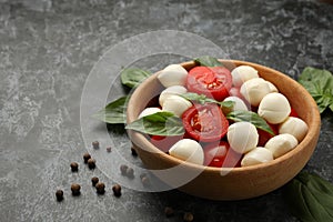 Bowl with mozzarella cheese, tomato and basil on black smokey background, space for text