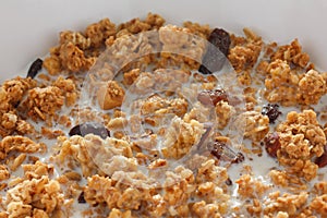 Bowl of muesli with milk