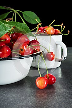 Bowl and mug are filled with ripe, washed cherries with petioles, on grey surface