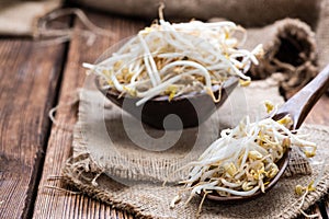 Bowl with Mungbean Sprouts photo