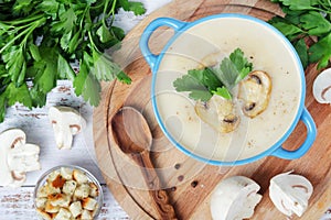 A bowl with mushroom cream soup