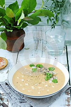 A bowl with mushroom cream soup