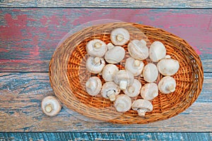 Bowl of mushrooms and one outsider