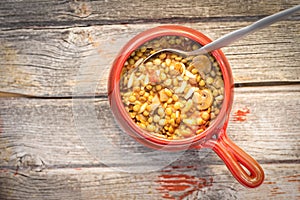 Bowl of nutritious lentil and mushroom soup