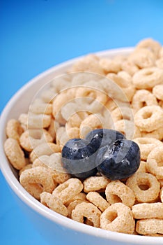 Bowl of oat cereal with blueberries