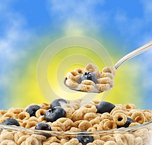 Bowl of oat cereal with blueberry and spoon