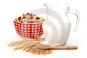 Bowl of oat flake, and fresh milk