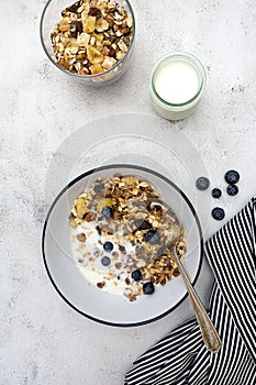 Bowl of oatmeal cereal. Whole oats, granola with dried fruit and blueberry, milk and honey. Healthy food breakfast. Copy space
