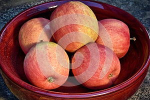 Bowl of Organic Home Grown Apples