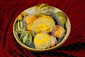 Bowl of Ornamental Squash