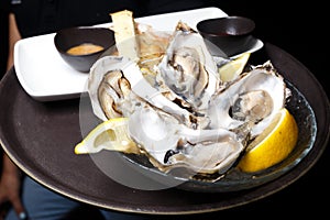 A bowl with oysters