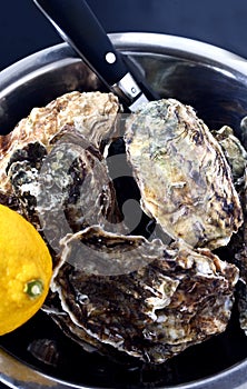 Bowl of oysters