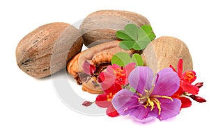 Bowl with pecan nuts in shell isolated.