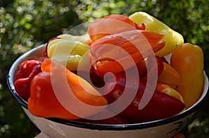 A bowl of pepper. Peeled peppers. Paprika pepper. Bell pepper. Healthy food. Recipes and cooking. Natural healthy food. Vegetables