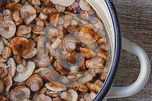 A bowl of pickled little wild mushrooms. Gourmet food