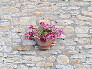 Un tazón de púrpura (petunias) colgante bruto piedra muro de países casa 