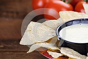 Bowl of Queso Blanco White Cheese Sauce