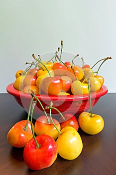 Bowl of Rainier Cherries
