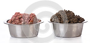 Bowl of raw and kibble