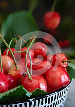 Bowl with red cherries food background