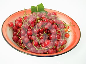 bowl red currants