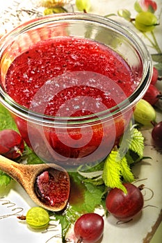 Bowl of red gooseberry jam