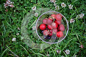 Bowl with red strawberries