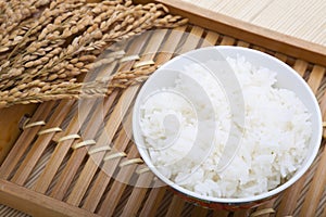 Bowl of rice and paddy