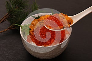 A bowl of rice topped with sea urchin and salmon roe, seafood representative of Hokkaido, Japan. Uni Ikura Donburi