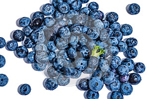 Bowl of ripe blueberries isolated on white background. Fresh fruits, ingredients of healthy food