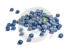 Bowl of ripe blueberries isolated on white background. Fresh fruits, ingredients of healthy food