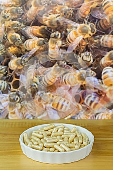 Bowl of Royal Jelly in capsules with blurred background of worker bees working in honeycomb