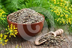 Bowl and scoop of fennel seeds and bunches of fresh green dill