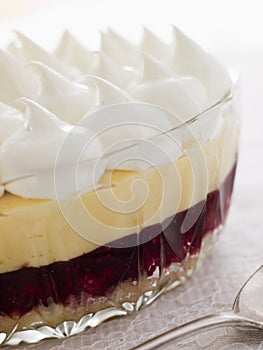 Bowl of Sherry Trifle photo