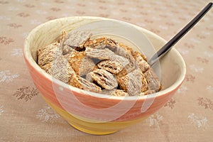 Bowl of shredded wheat cereal