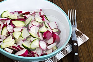 Bowl with sliced fresh radish and cucumber, vegetarian food