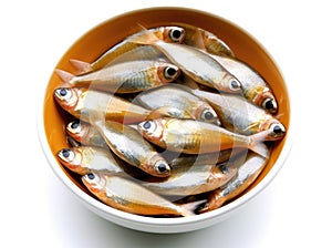 Bowl with small fish