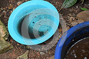 bowl with standing water place of proliferation of dengue chikungunya disease, malaria, zica virus