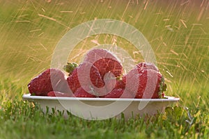 Bowl of strawberries in the rain