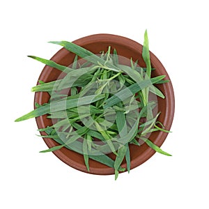 Bowl of tarragon leaves on a white background