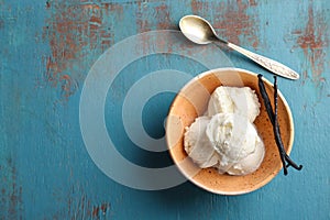 Bowl with tasty vanilla ice cream