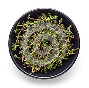 Bowl of thyme isolated on white