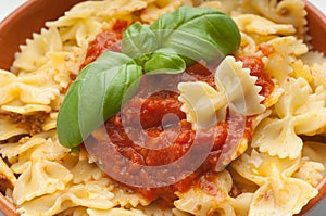 Bowl of Tomato farfalle