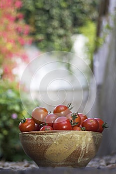 Bowl of Tomatoes