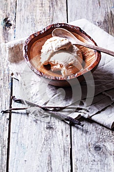 Bowl with vanilla ice cream
