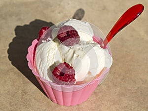 Bowl of vanilla ice cream with raspberries