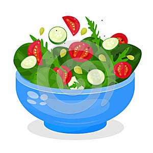 Bowl of vegetable salad, fresh vegetarian food