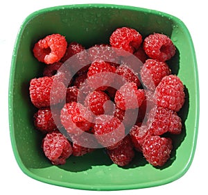 Bowl of Washed Raspberries