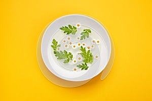 Bowl with water and chamomile flowers. Spa and hand skin