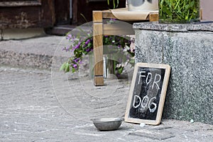 A bowl of water for dog.